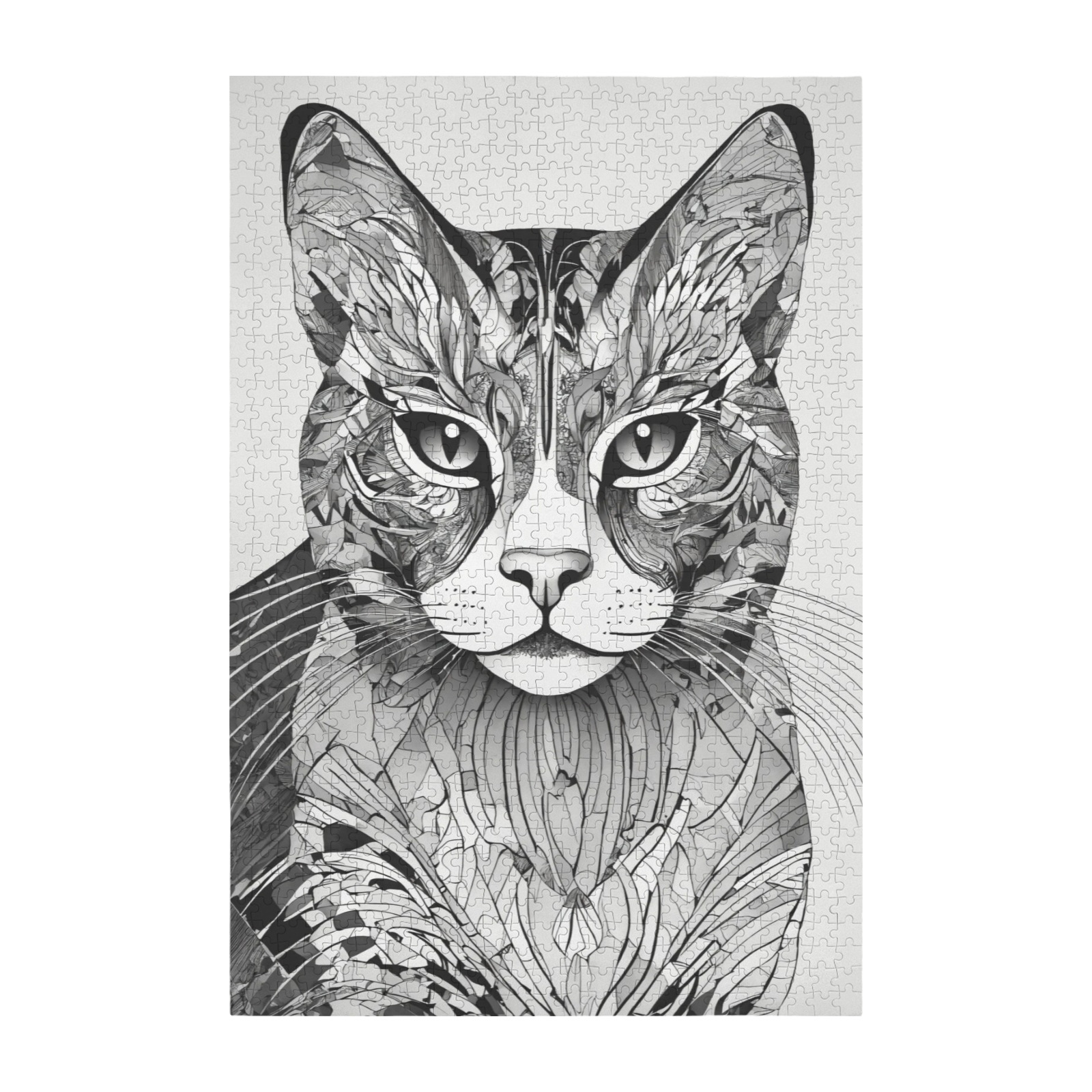 Black and White Cat