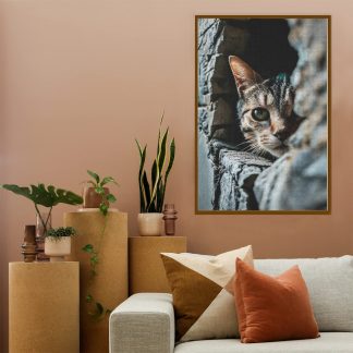 Cat In The Wall